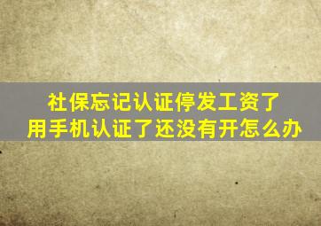 社保忘记认证停发工资了 用手机认证了还没有开怎么办